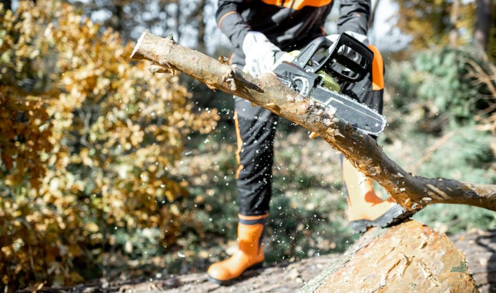 Arborist Services